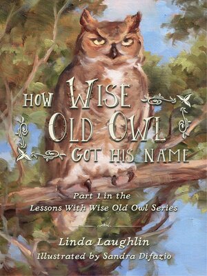cover image of How Wise Old Owl Got His Name